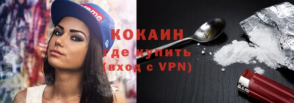 прущие грибы Абдулино