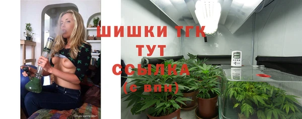 дживик Абаза