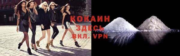 прущие грибы Абдулино