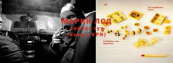 PSILOCYBIN Великий Новгород