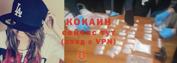 прущие грибы Абдулино