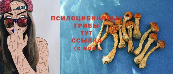 СК Абинск