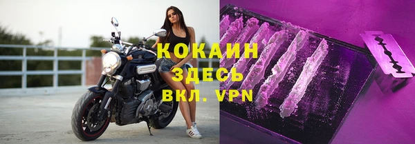 дживик Абаза