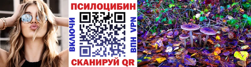 Псилоцибиновые грибы Psilocybine cubensis  Рассказово 